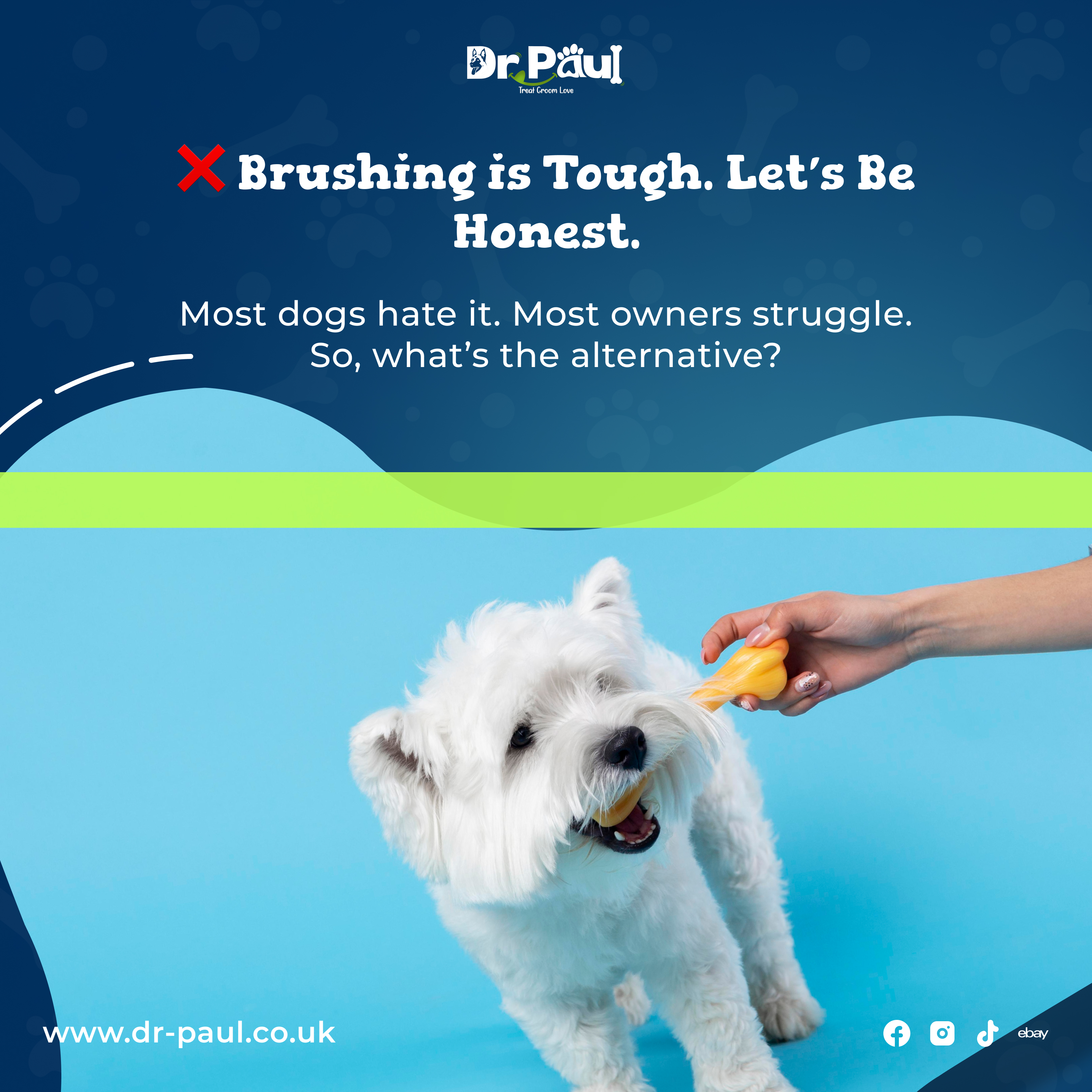 Dr. Paul dental care post