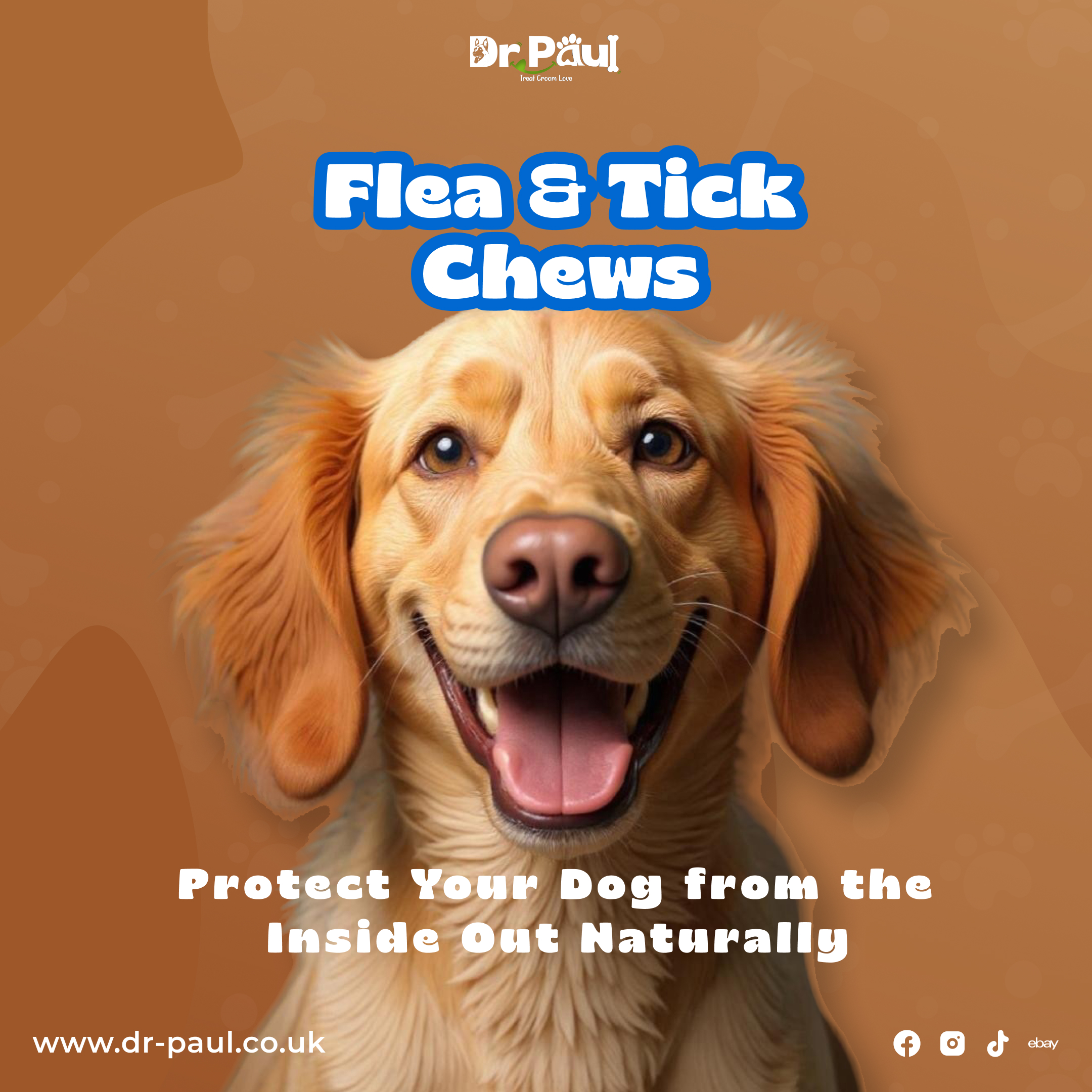 Dr. Paul flea & tick chews post